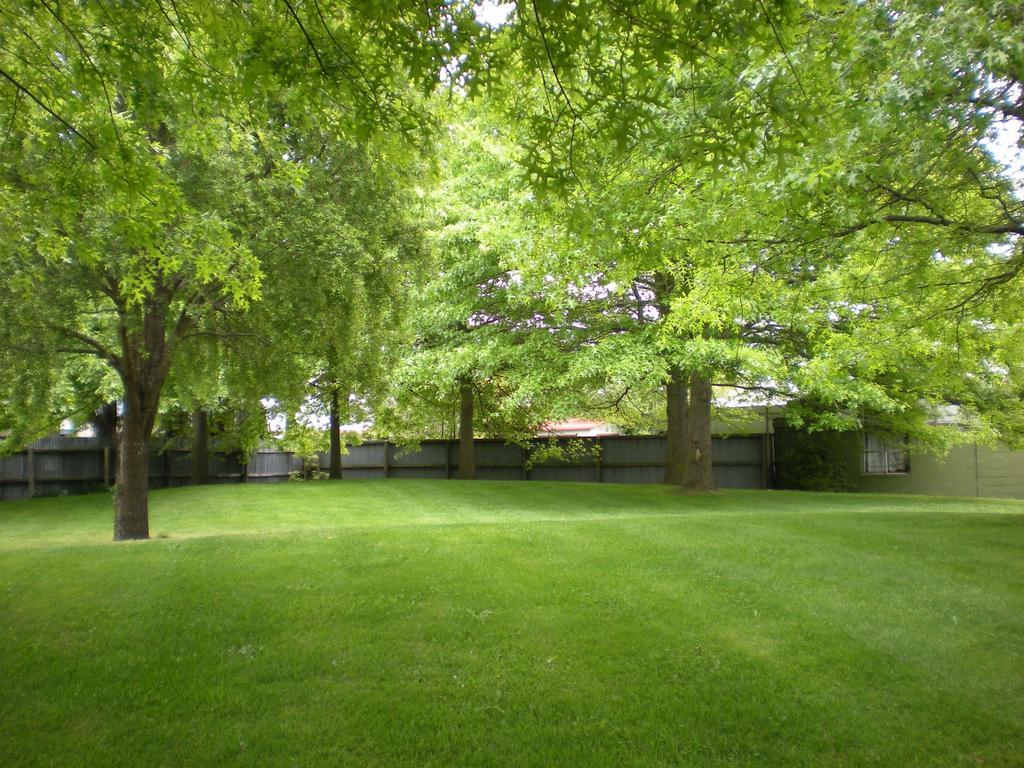 Christchurch Park Motel Room photo